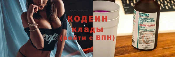 мдпв Дмитров