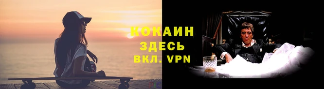 мдпв Дмитров