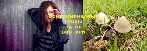 круглые Дмитриев