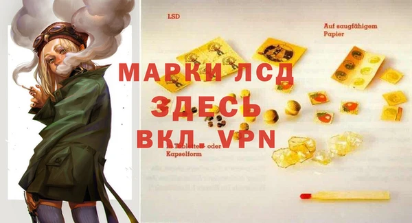 мдпв Дмитров