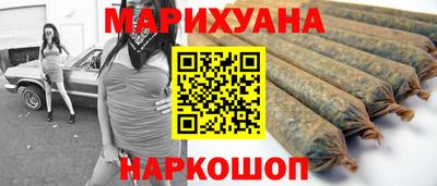 индика Лесосибирск