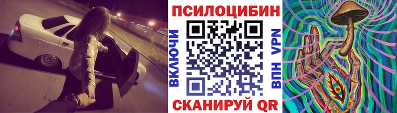 Псилоцибиновые грибы мицелий  купить наркоту  Ирбит 